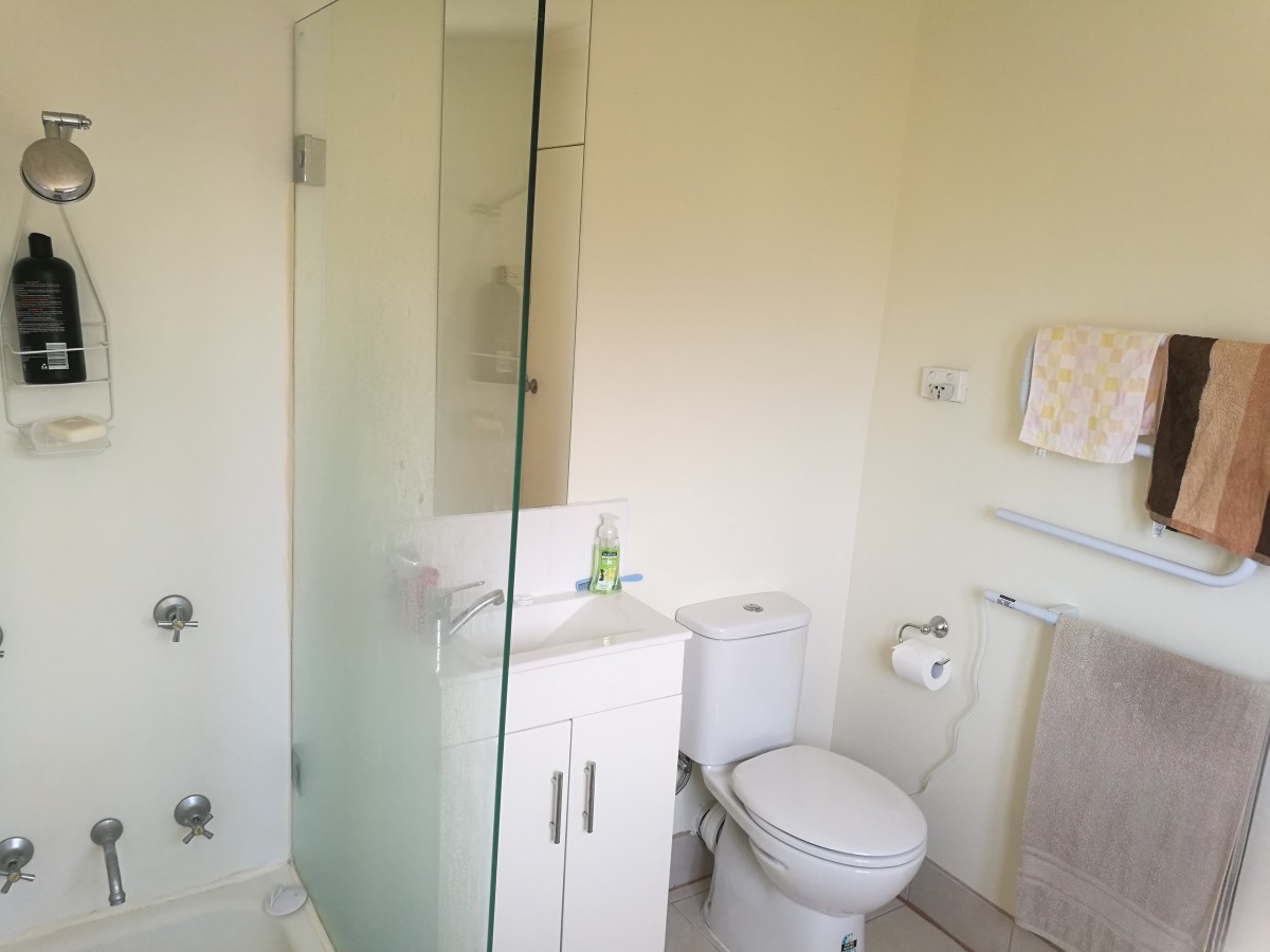 Flat 3 room 2 vanity and toilet.jpg